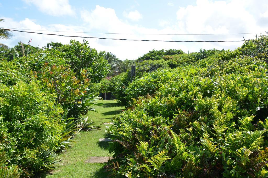 Casa Da Ilha Do Mel - Pousada De Charme Ngoại thất bức ảnh