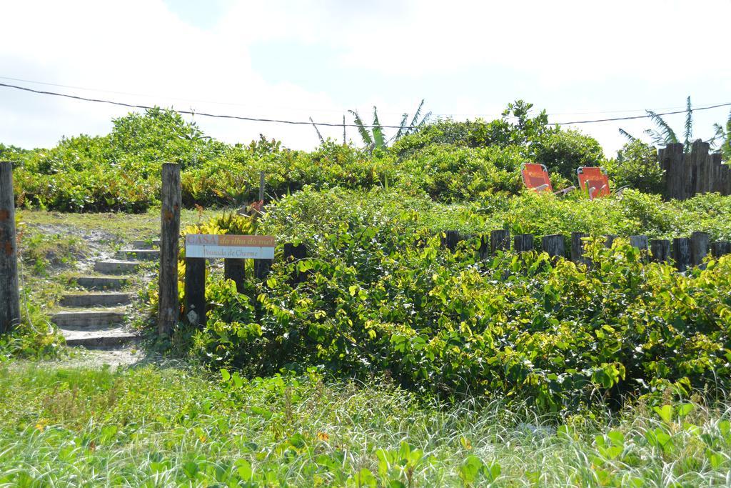 Casa Da Ilha Do Mel - Pousada De Charme Ngoại thất bức ảnh